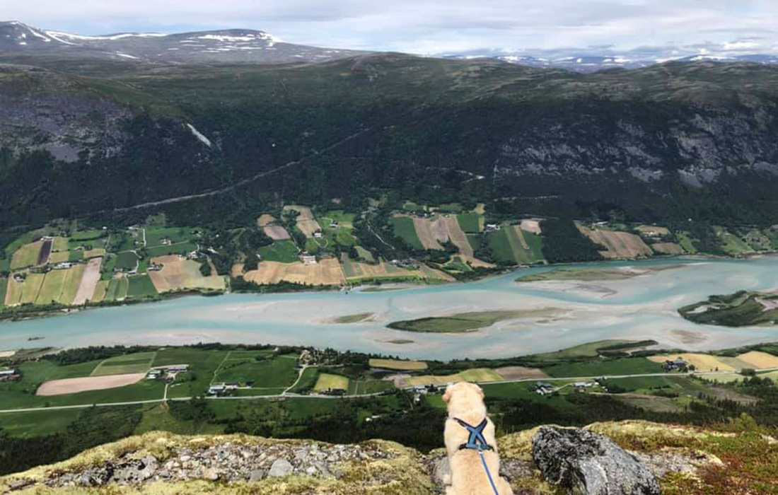 utsikt_fjelltur_2