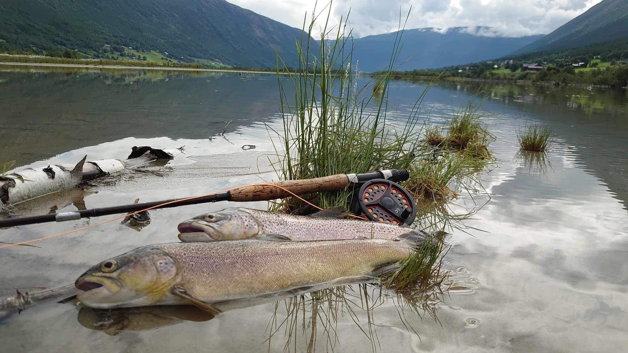 Fisking i elva er mulig. Du kan få Harr og Ørret.